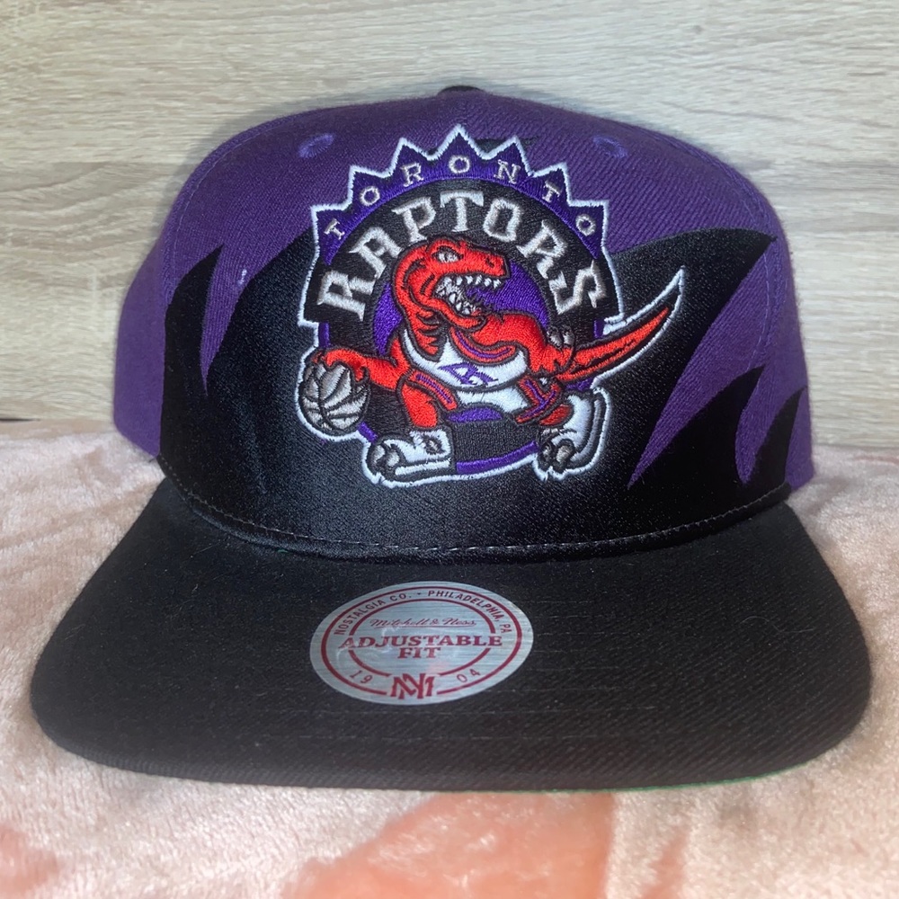 Toronto Raptors SnapBack